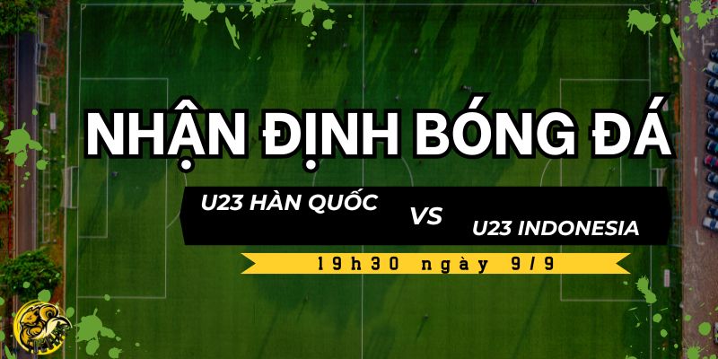 Nhận định từ chuyên gia Socolive TV